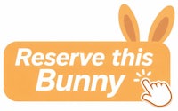 reserve this bunny